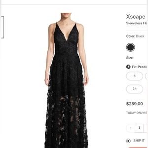 Beautiful Black Sheer Long Dress